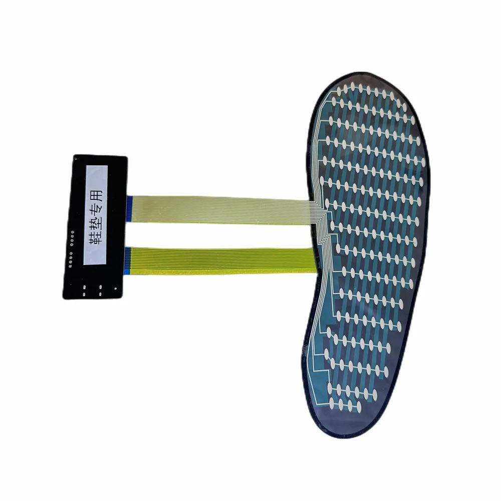 Smart Insole Pressure - Sensor de Presión de Pie Multizona